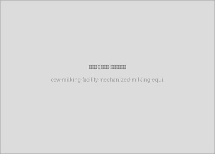 Cow milking facility and mechanized milking equipment