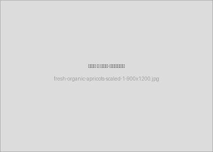Fresh organic apricots,summer fruit,top view