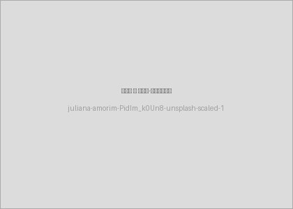 juliana-amorim-PidIm_k0Un8-unsplash