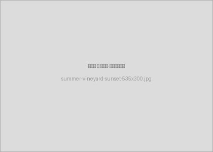 summer-vineyard-sunset summer-vineyard-sunset